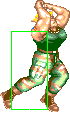 Sf2ww-guile-skick-s1.png