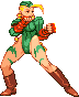 Sfa3 Cammy pxism.png