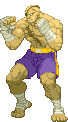 Cvs2 sagat idle.gif