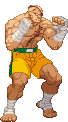 Cvs2 sagat hp palette.gif