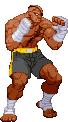 Cvs2 sagat lk palette.gif