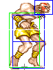 File:ODhalsim fire4.png