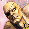OSFIV-Sagat Face.png