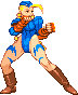 Sfa3 Cammy kaism.png