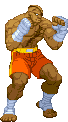 Cvs2 sagat hk palette.gif