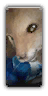 Roger Jr