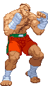 Cvs2 sagat mp palette.gif