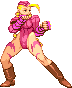Sfa3 Cammy pvism.png