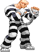 Sfa3 Cody pvism.png