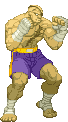 Cvs2 sagat lp palette.gif