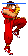 Sfa3 Guy BIO 2.png