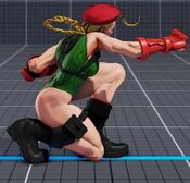 SFV Cammy 2LP.jpg
