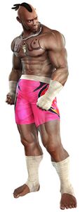 T5dr render bruce.jpg