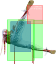 SF6 Elena 236kk hitbox 4.png