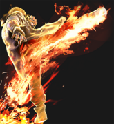 SF6 Ken 236kk 6hk.png
