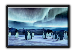 T5dr arena auroraaustralis.png