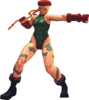 USFIV Cammy Far 5LP.png