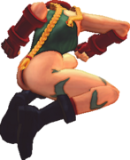 USFIV Cammy njLP.png