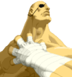 Sagat