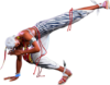 SF6 Elena 2mp.png