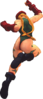 USFIV Cammy njHP.png