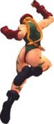 USFIV Cammy njHP.png