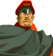 M. Bison