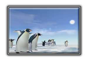 T5 arena polarparadise.png