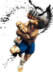 USFIV Sagat Portrait.png