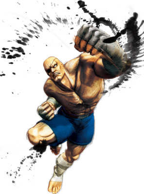 USFIV Sagat Portrait.png