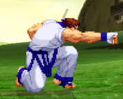 CVS2 Kim 2MP.png