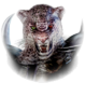 Armor King