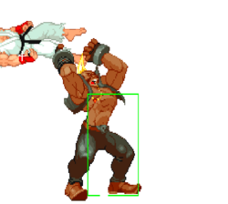 A2 Birdie KThrow 2.png