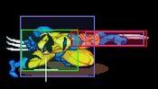 COTA-Wolverine-cLP.jpg