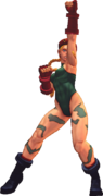 USFIV Cammy Close 5MP.png