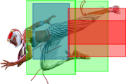 SF6 Elena 236lk hitbox 3.png