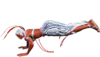 SF6 Elena 2hk.png