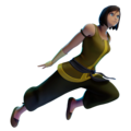 Korra's globetrotting outfit from the first half of Book 4: Balance. First seen in the episode "After All These Years" (Unlocked by having the Ultimate edition of NASB 2).