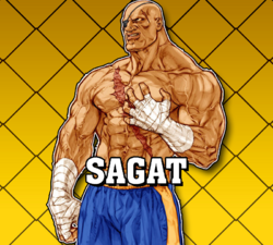 CVS2 Sagat Data.png
