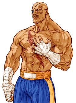 CVS2 Sagat CAPCOM Art.jpg