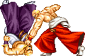FFS Geese C Throw 1.png