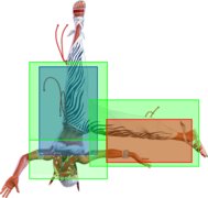 SF6 Elena jhk hitbox 2.png