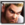 T5dr icon paul.png
