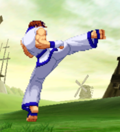 CVS2 Kim 28P.png