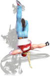 SF6 Terry 623lp.png