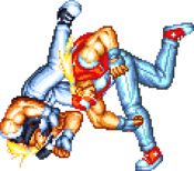 FFS Terry Throw 1.png