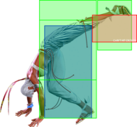 SF6 Elena 5mk hk hitbox.png