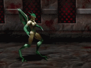 TK-Marukka-bfT.gif