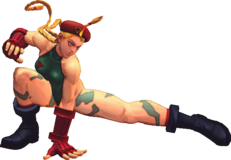 USFIV Cammy 2LK.png