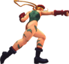 USFIV Cammy Far 5MP.png